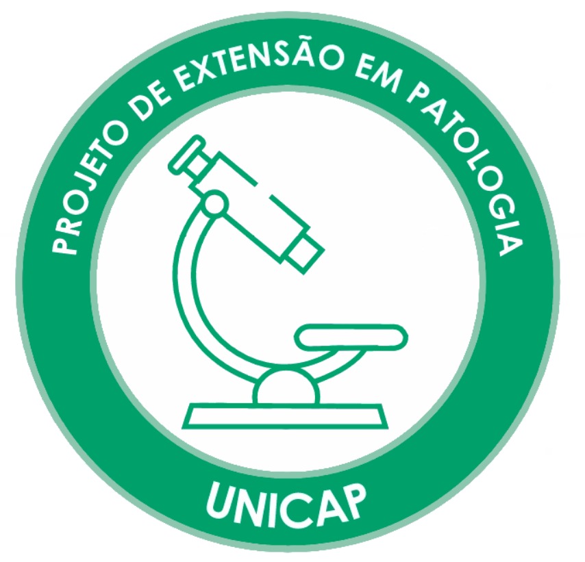BANNER DE PROJETO