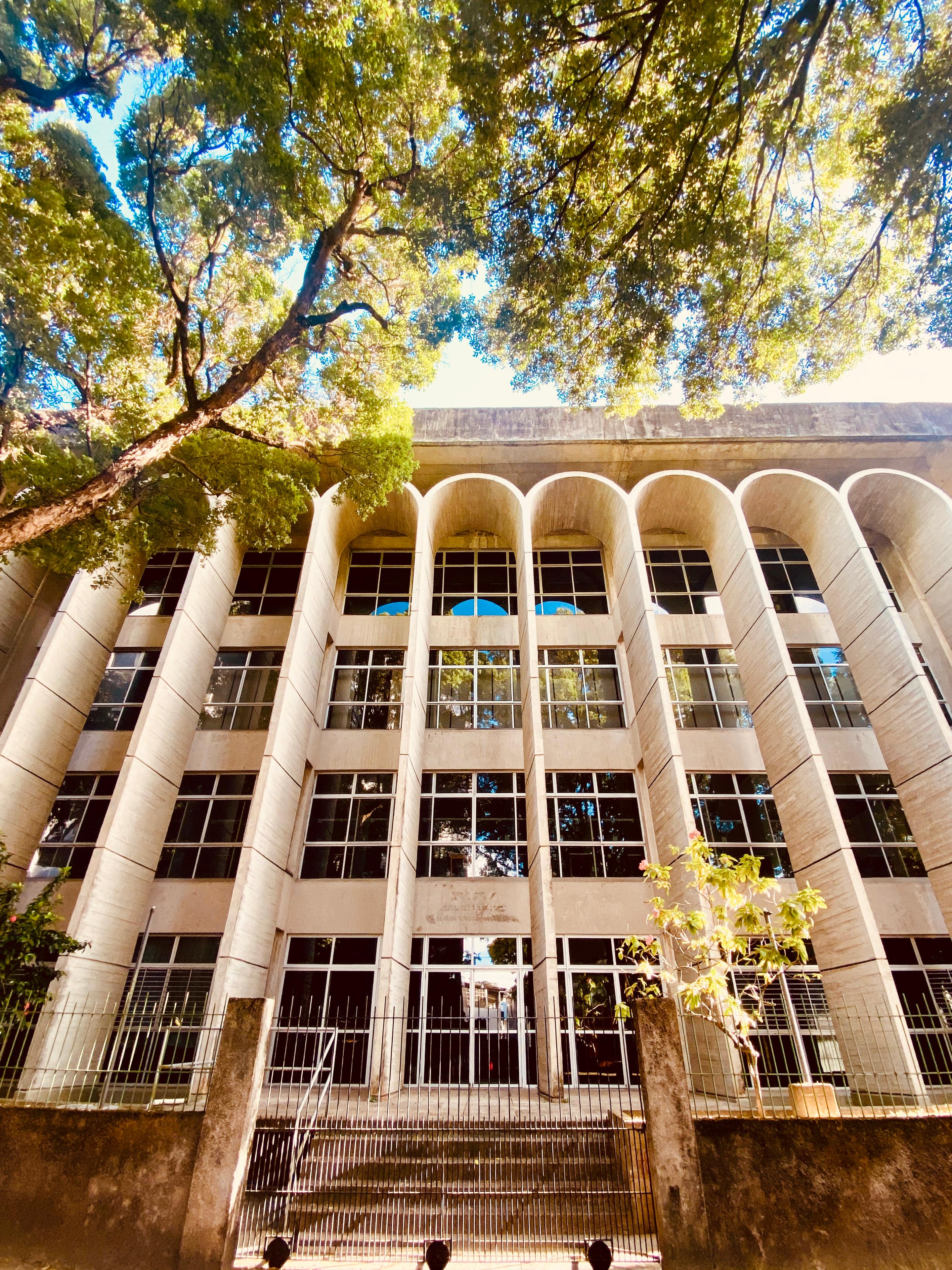 A imagem mostra a fachada daa Biblioteca da Unicap, um edifício de concreto com estilo arquitetônico modernista/brutalista, possivelmente dos anos 70 ou 80. O prédio tem quatro andares visíveis e é marcado por grandes arcos de concreto na parte superior, que formam uma espécie de galeria aberta no último pavimento. As janelas são amplas, com vidros escuros e esquadrias metálicas pretas, dispostas em faixas horizontais contínuas em cada andar. A fachada é clara, em tom bege-acinzentado, com linhas horizontais marcadas entre os pavimentos. Na frente do edifício há uma escada de acesso com corrimão metálico e um portão de grades pretas. Dois pequenos postes pretos estão no passeio. À direita e à esquerda da entrada, há vegetação: uma árvore pequena com flores rosadas à direita e folhagem verde à esquerda. Acima do prédio, galhos de uma árvore grande e frondosa ocupam boa parte do céu, com folhas verdes iluminadas pelo sol forte, criando contraste com o céu azul claro ao fundo. A luz do dia é intensa, destacando as formas curvas dos arcos e as texturas do concreto.