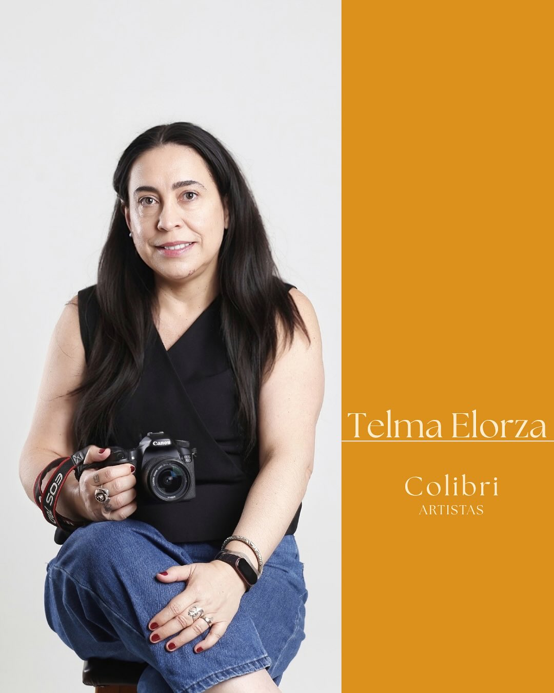 Artistas colibri Telma Elorza