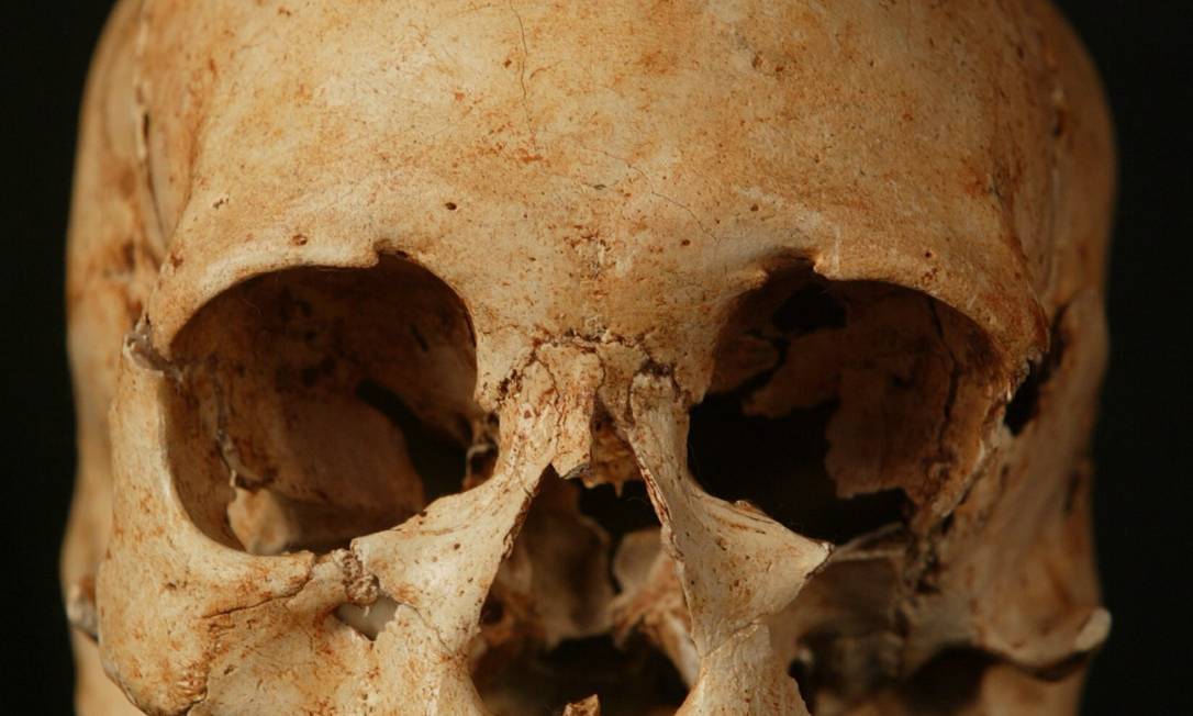 Pesquisadores encontraram parte do crânio de Luzia o fóssil humano mais antigo do Brasil