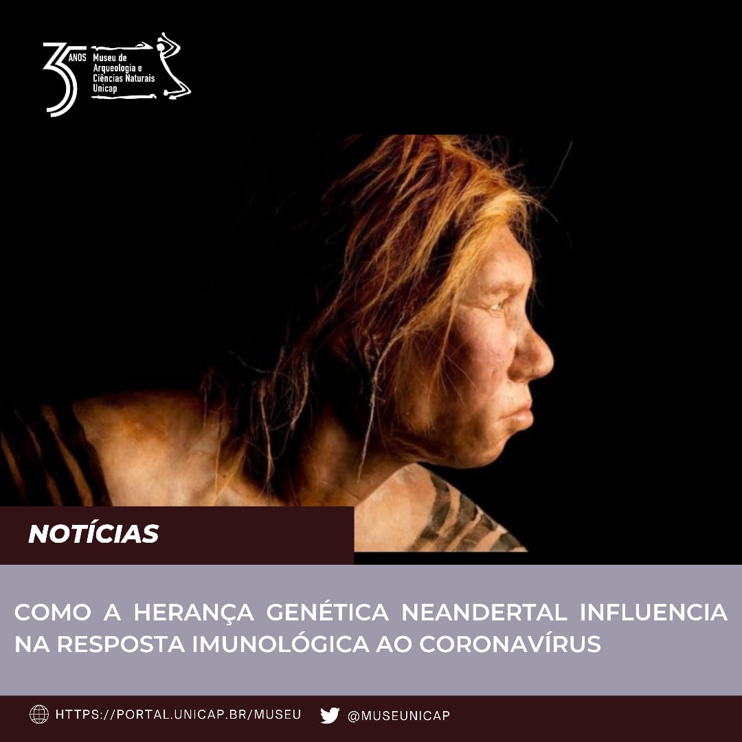 Neandertal influencia na resposta imunologica contra covid