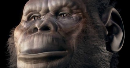 Brasileiro reconstrói em 3D os rostos de 15 espécies de hominídeos