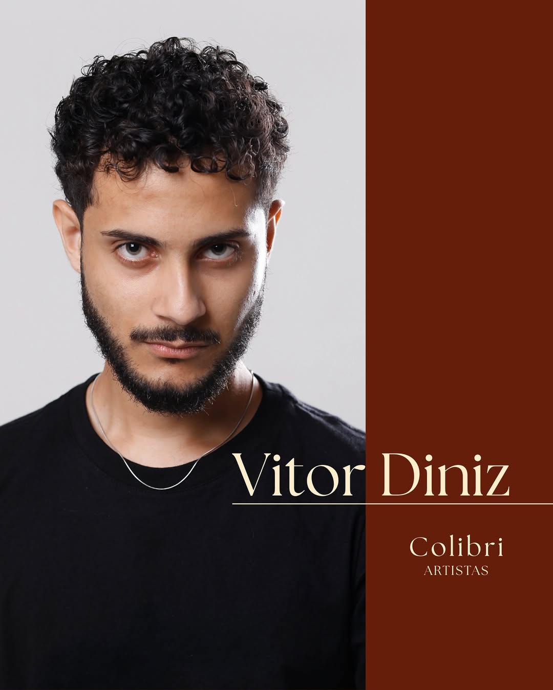 vitor diniz artista colibri