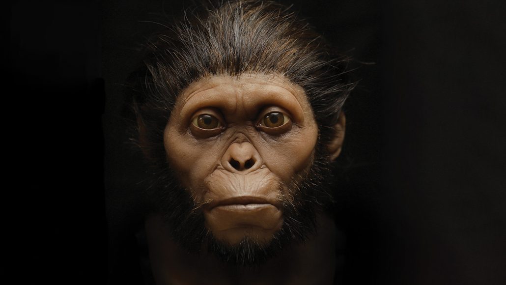 hominideo-arte-crianca-de-taung-australopithecus.jpg