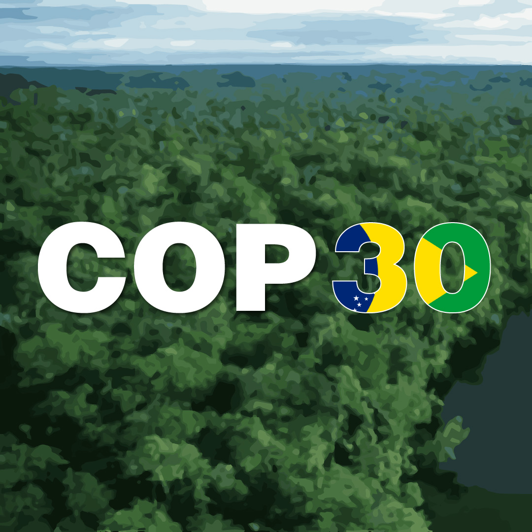 cop 30