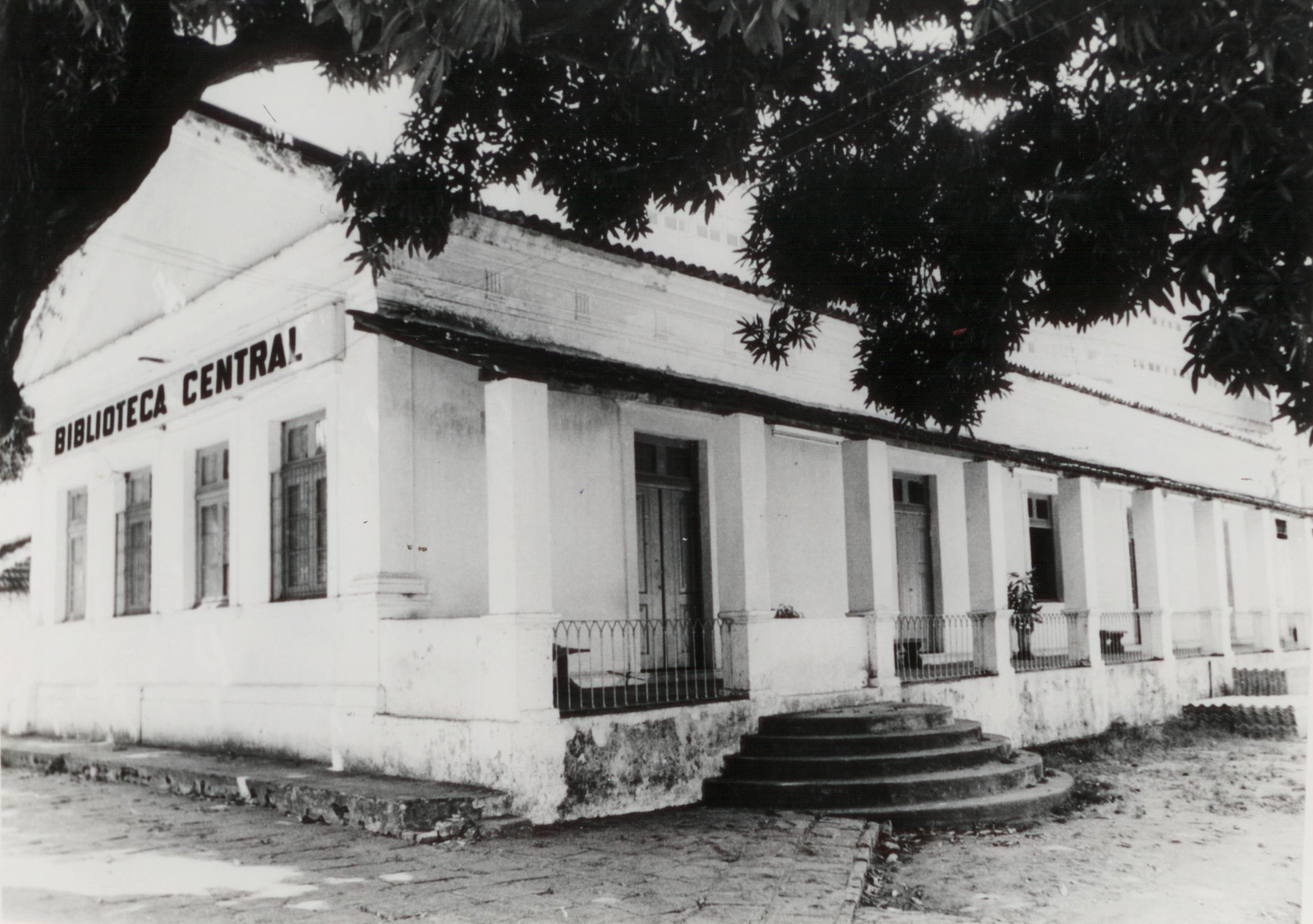 O negacionismo nuclear - Unicap - Universidade Católica de Pernambuco