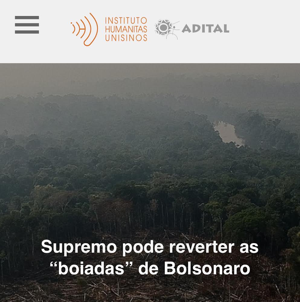 Supremo pode reverter as “boiadas” de Bolsonaro