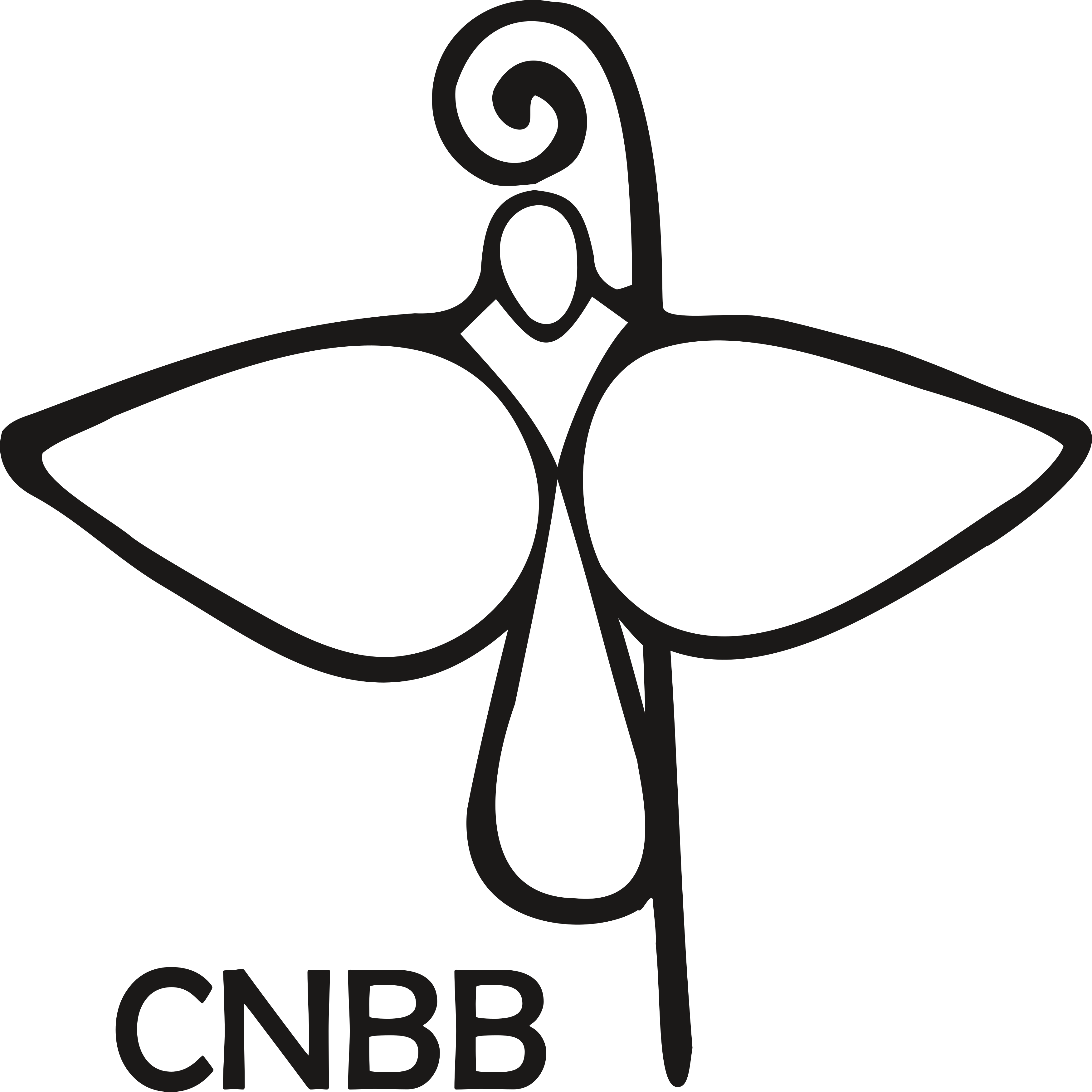 CNBB