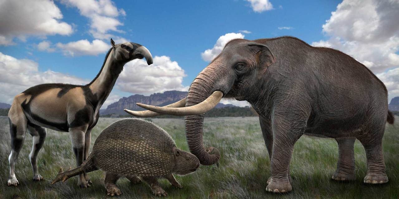 megafauna