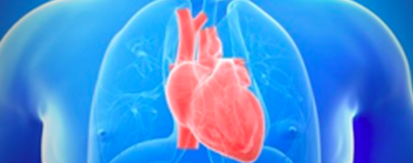 Cardiopatias congênitas têm déficit em procedimentos cirúrgicos