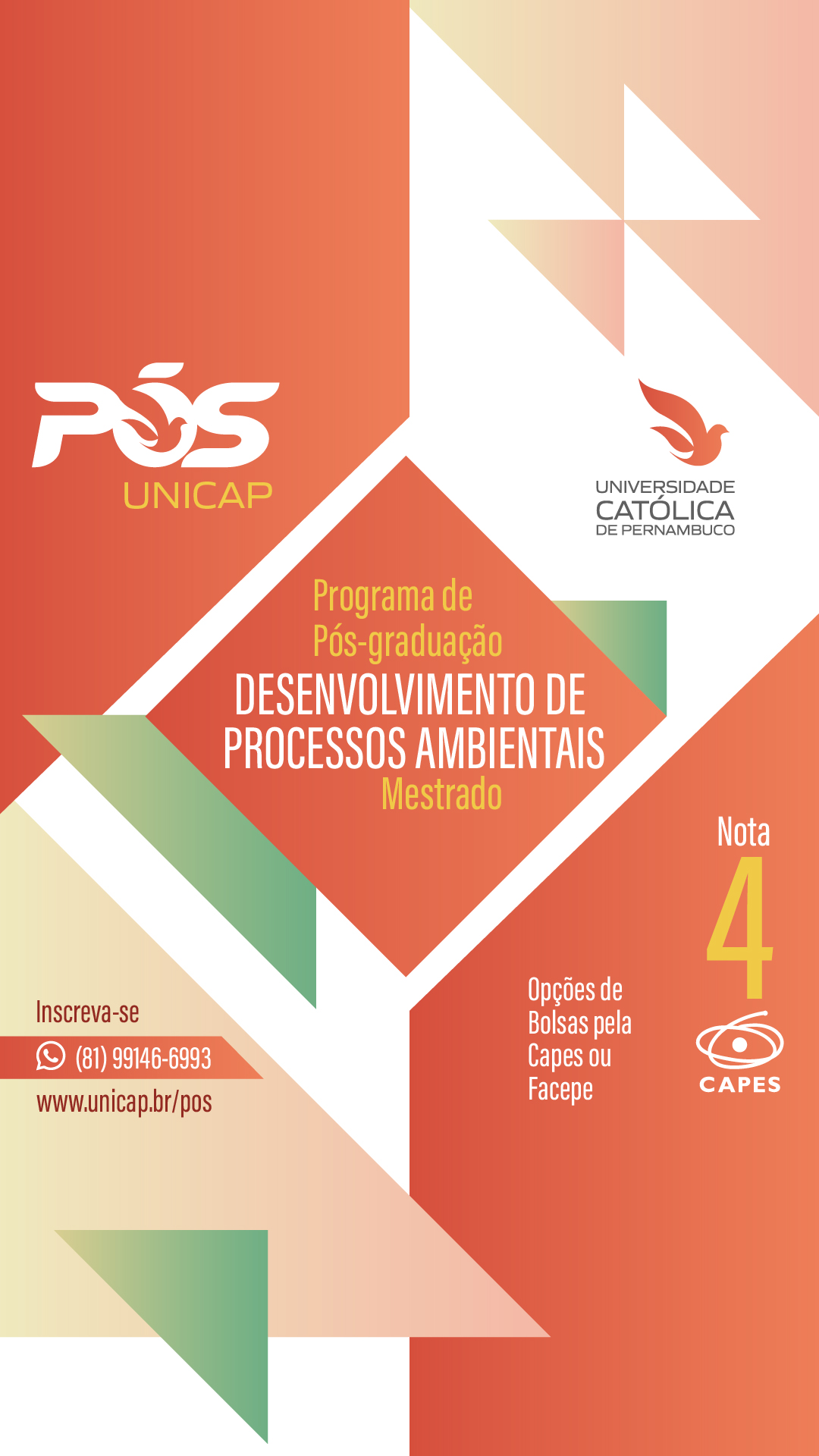 cartaz do programa